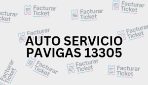 AUTO SERVICIO PAVIGAS 13305 sin logo Facturación AUTO SERVICIO PAVIGAS 13305 - Descargar Factura