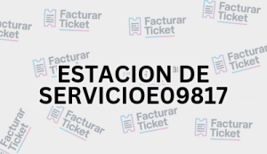 Facturación ESTACION DE SERVICIOE09817 - Descargar Factura 13 ESTACION DE SERVICIOE09817 sin logo Facturación ESTACION DE SERVICIOE09817 - Descargar Factura
