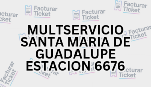 Facturación MULTSERVICIO SANTA MARIA DE GUADALUPE ESTACION 6676 - Descargar Factura 6 MULTSERVICIO SANTA MARIA DE GUADALUPE ESTACION 6676 sin logo Facturación MULTSERVICIO SANTA MARIA DE GUADALUPE ESTACION 6676 - Descargar Factura